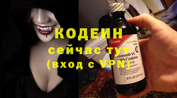 дурь Пересвет