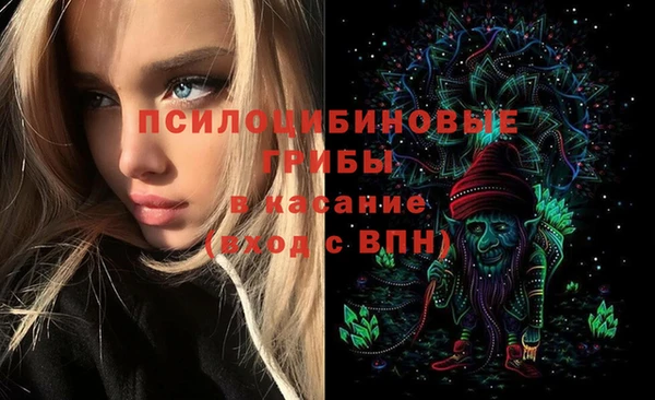 эйфоретик Переславль-Залесский