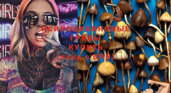гашиш Болотное