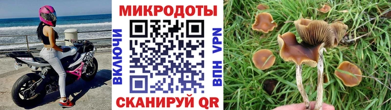 Галлюциногенные грибы мухоморы  KRAKEN ТОР  нарко площадка как зайти  Полярный 